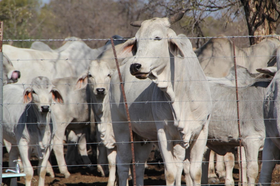 0 Bedroom Property for Sale in Vryburg Rural North West